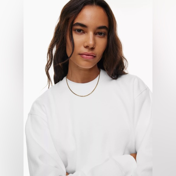Aritzia Sweaters - TNA cozy perfect crew